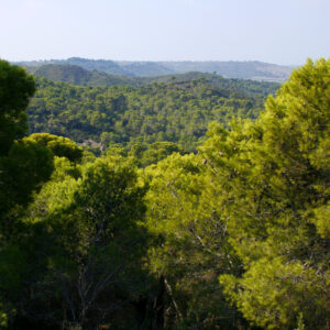 PANORAMICA DA CAS VILLALBA