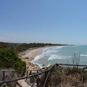 panoramica con dune stabilizzate_0