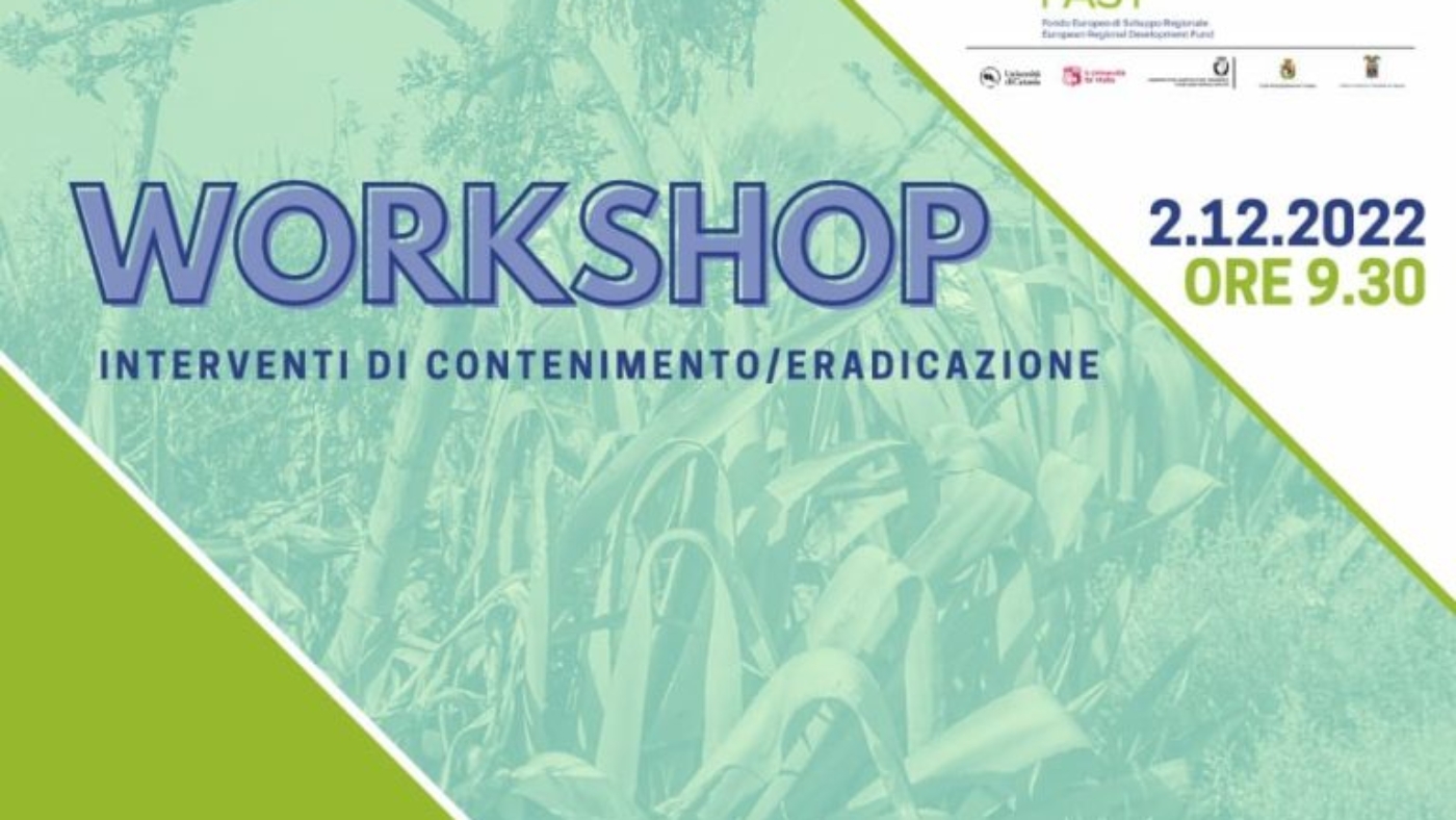 workshop-IAS-1-768x644